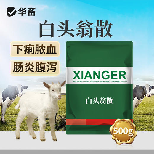 华畜白头翁散兽用痢菌净止痢散猪用牛羊鸡仔猪黄白痢拉稀止泻 商品图0