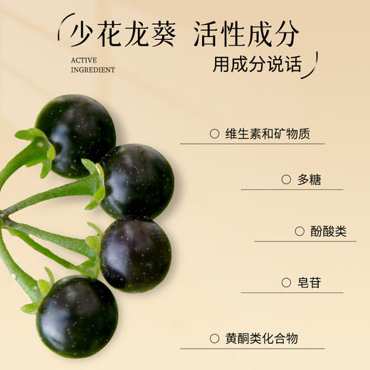 扶摇清饮少花龙葵果袋煮茶19g*7袋 商品图2