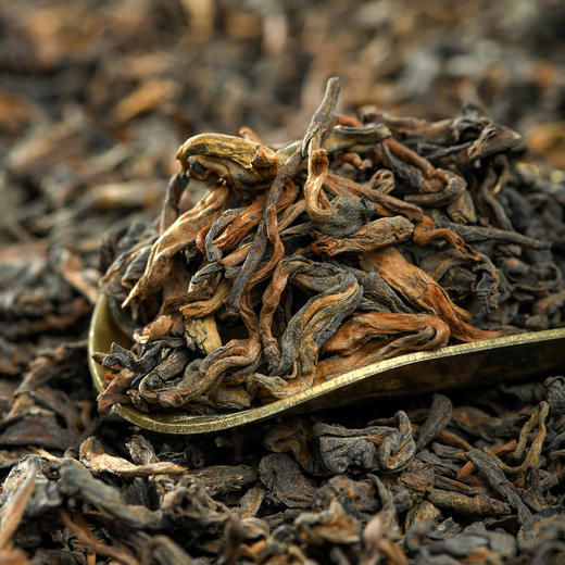 龙园几棵树 云木香 普洱熟茶散茶 240克/盒 商品图6