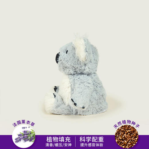 英国warmies 小小考拉安抚玩偶公仔送礼毛绒可加热抱枕 商品图2