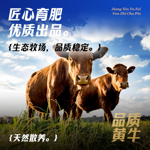 【顺丰包邮】蟹状元生鲜礼盒---延边黄牛 商品图1