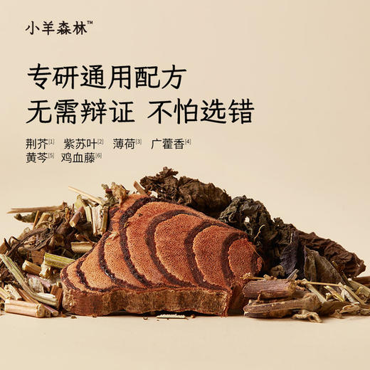 着凉急救包（感通通+葱豉汤） 商品图2