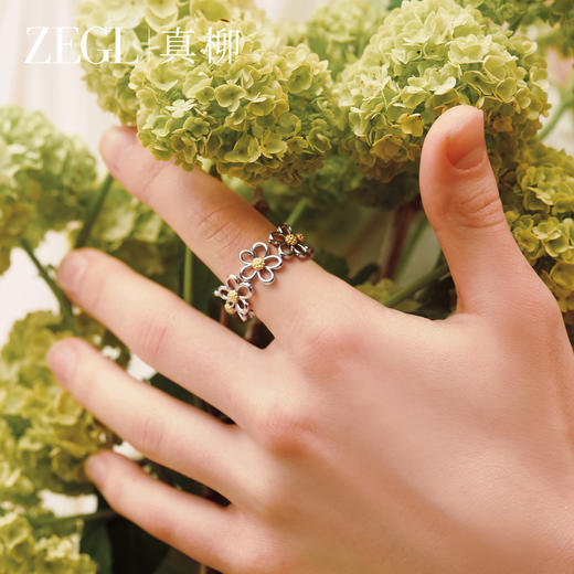 ZEGL设计师花漫系列太阳花朵戒指女小众秋冬高级感指环开口食指戒 商品图0