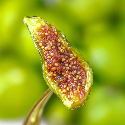 食味的初相无花果干|8斤鲜无花果才出1斤，酸甜艮啾啾，好吃又养人 商品图3