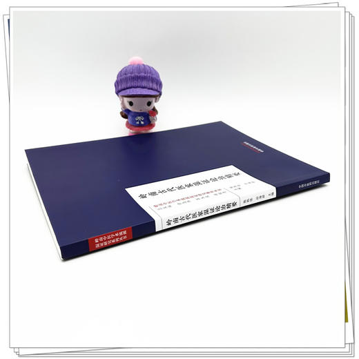 岭南古代医家湿证论治精要 陈凯佳 孙海娇 主编 岭南中医学术流派湿证研究系列丛书 中国中医药出版社 商品图2