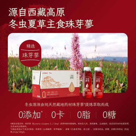 西藏高原冬虫源液 珠芽蓼本草植物饮品（原味）【258ml*10瓶】 商品图1
