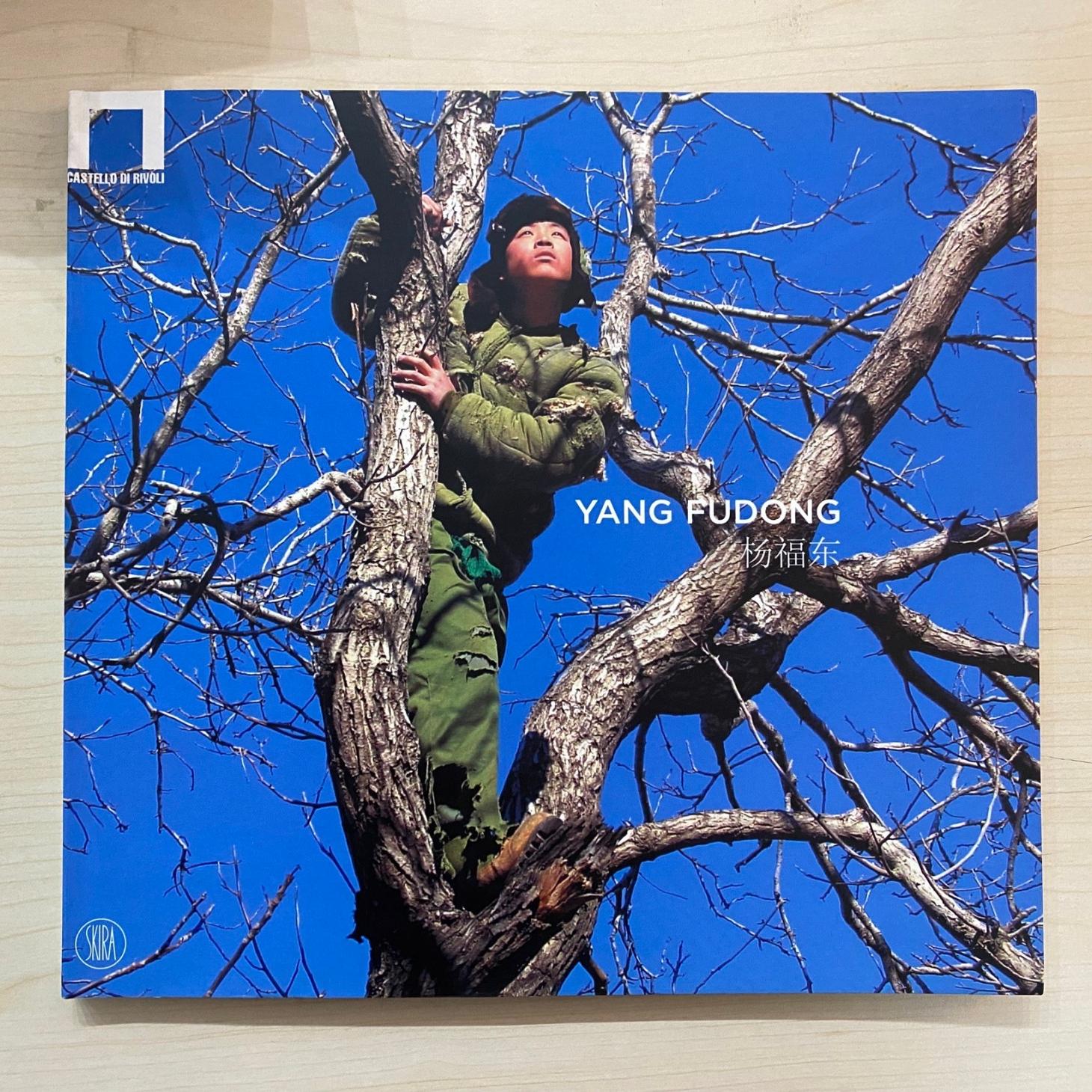 Yang Fudong / 杨福东