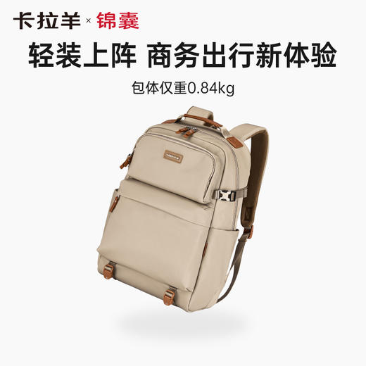 卡拉羊X锦囊商务电脑防盗背包27升出差通勤多功能双肩包睿行CN5228 商品图3
