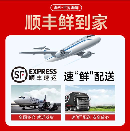 【海朴】A5晟泽呈祥海鲜年货礼盒大礼包严选10种精品海鲜企业采购 商品图3