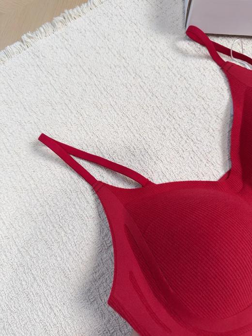 F010768秋冬新款亲肤磨毛面料女士美背文胸内衣 商品图10