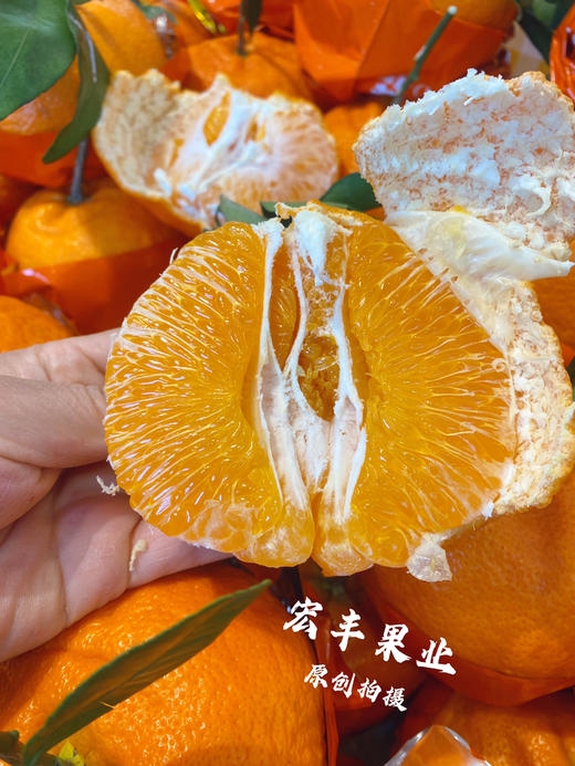 宏丰精选，甘平柑橘，柑橘界的“甜蜜女王”。活动价12.8元一斤 商品图0
