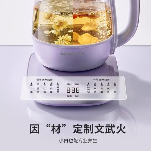九阳全玻璃沸萃养生壶1.5L炖煮一体办公室烧水壶电热花茶壶煮茶器 商品图12