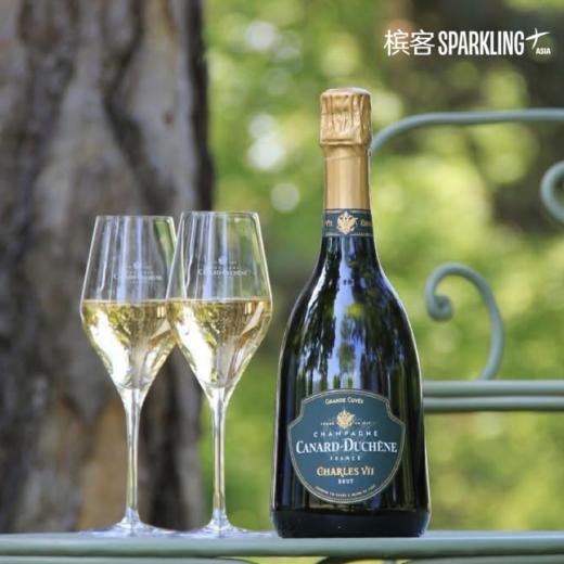 Canard-Duchêne Charles VII Blanc de Blancs 希帝查理七世白中白香槟 商品图8