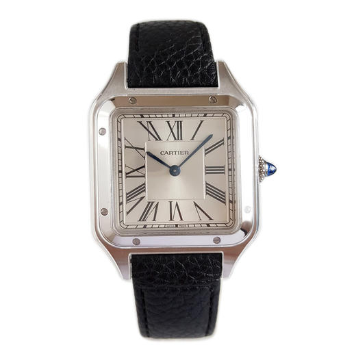 【95新】CARTIER卡地亚WSSA0040石英43.5*31.4mm（女款）山度士系列精钢 281225NJ08 商品图0