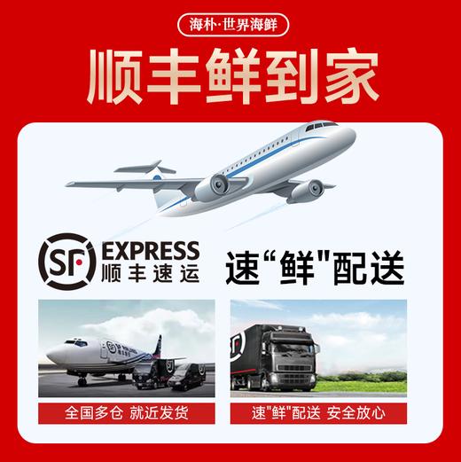 【海朴】A3鸿屿宴宾海鲜年货礼盒严选10种精品海鲜企业采购团购品 商品图3