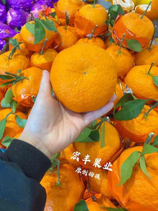 宏丰精选，甘平柑橘，柑橘界的“甜蜜女王”。活动价12.8元一斤 商品图3