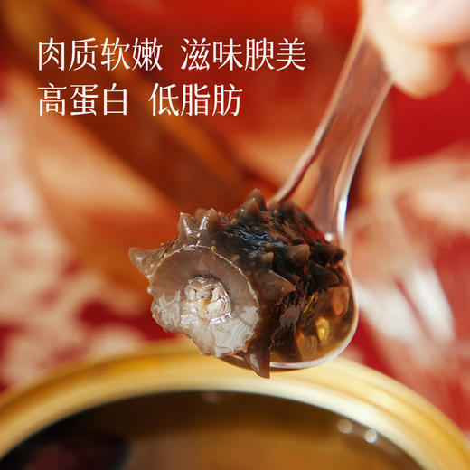 【鲜炖海参礼盒】内含一整个大连海参 开罐即食  随时养生 商品图1