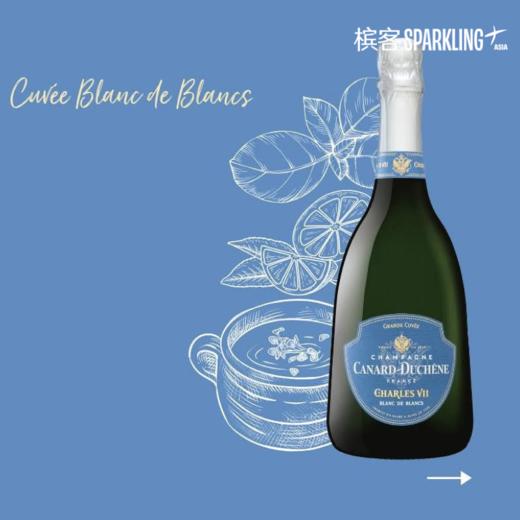 Canard-Duchêne Charles VII Blanc de Blancs 希帝查理七世白中白香槟 商品图2