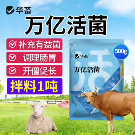 万亿活菌 补充有益菌 调理肠道 商品图0