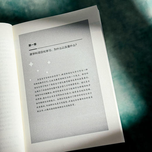 跨学科项目化学习33问 崔春华 跨学科PBL 上海市义务教育项目化学习丛书 商品图7