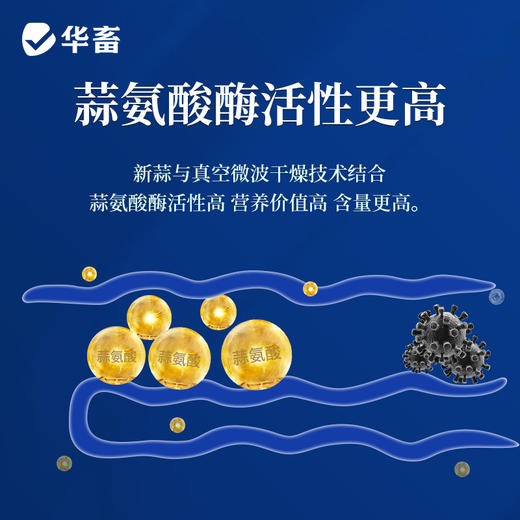 【积分兑换】华畜浓缩蒜素2.8kg  蒜香浓郁更诱食 多糖含量高 含丰富蒜氨酸 禽畜水产用 商品图2