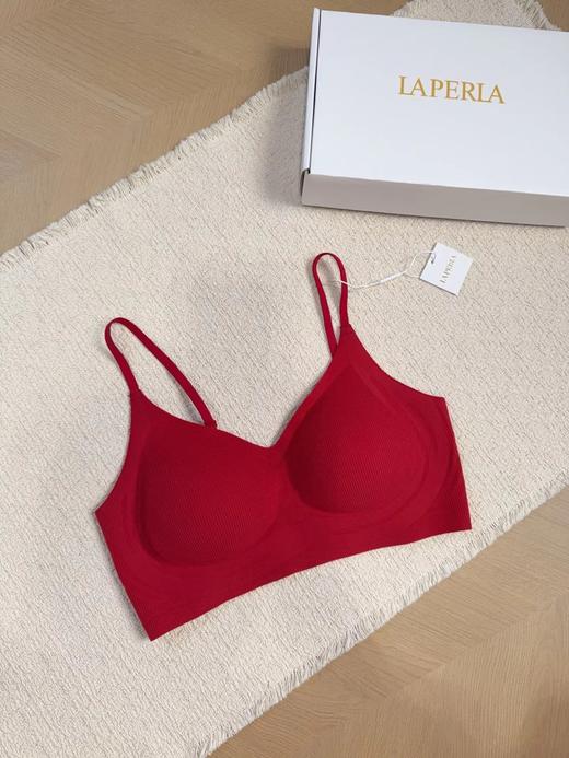 F010768秋冬新款亲肤磨毛面料女士美背文胸内衣 商品图9