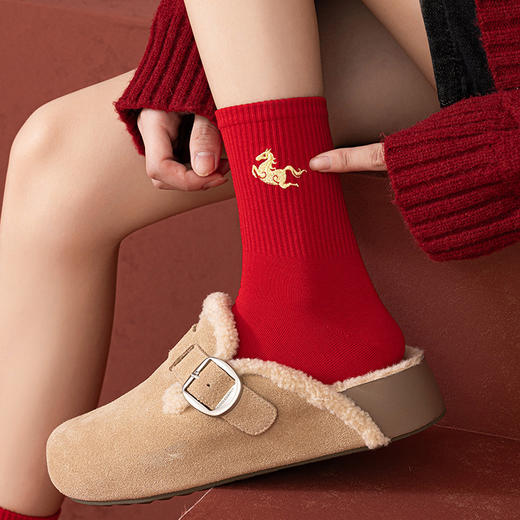 马到成功本命年大红新年袜子女飞马平安喜乐金丝刺绣高橡筋鸿运袜 商品图2