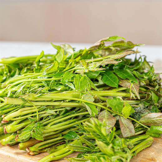 【陕西高山香椿】现摘现发，苔芽粗壮鲜嫩， 商品图3