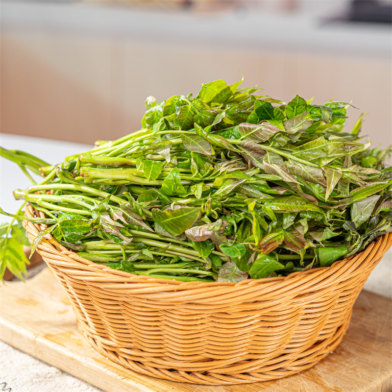 【陕西高山香椿】现摘现发，苔芽粗壮鲜嫩，