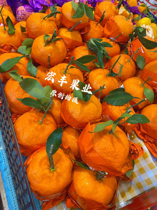 宏丰精选，甘平柑橘，柑橘界的“甜蜜女王”。活动价12.8元一斤 商品图8