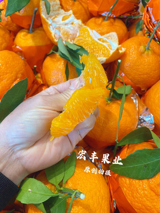 宏丰精选，甘平柑橘，柑橘界的“甜蜜女王”。活动价12.8元一斤 商品图7