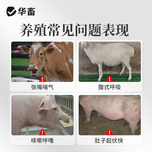 华畜泰地罗新注射液猪牛羊支原体呼吸道病胸膜炎肺炎支气管炎副猪 商品图1