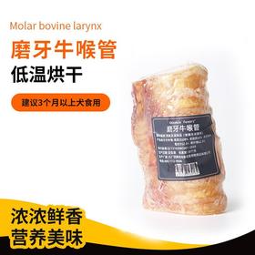新品【牛骨头】Double favors （双倍喜爱）磨牙牛喉管单支 烘干 狗狗零食 补钙洁齿