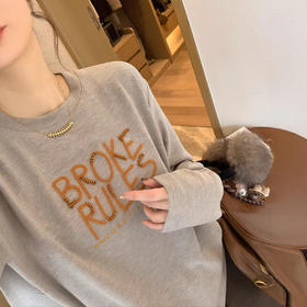 长袖圆领字母刺绣T恤！2026秋冬季新款时尚宽松百搭上衣！