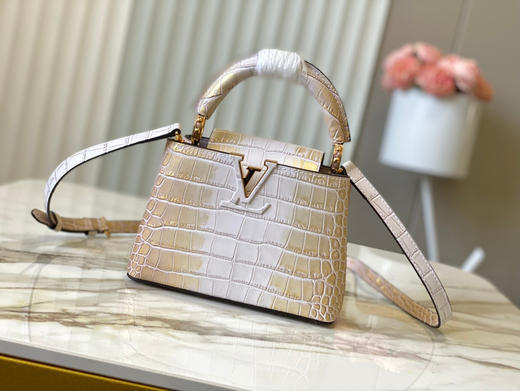 秋冬特惠💰1430 渠道级LV 新品 te级LV N93163/M48865流金尼罗鳄鱼纹 商品图0