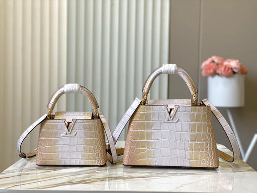 秋冬特惠💰1430 渠道级LV 新品 te级LV N93163/M48865流金尼罗鳄鱼纹 商品图9