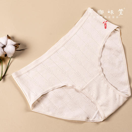 【女士内裤】95%棉 5%氨纶，素道有机彩棉-青年女士中腰/低腰，三角/平角内裤（基地直发-申通包邮），来自敦煌，品牌：素道【合作生产，公平贸易】 商品图3