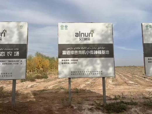 【新疆有机面粉】低速低温低压研磨技术 高筋粉 麦香浓郁  细腻劲道    5斤/袋 商品图2