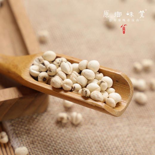 野生川贝母（成都仓库-顺丰快递）| 18g，38g，来自四川阿坝，生产者：松潘藏民【合作生产，公平贸易】 商品图3