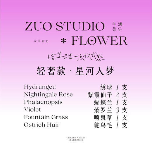 轻奢款鲜花【星河入梦】绣球1支/紫霞仙子5支/蝴蝶兰1支/紫罗兰3支/喷泉草1支/鸵鸟毛1支/梦幻浪漫感/氛围感鲜花 商品图3