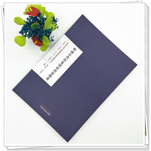 岭南古代医家湿证论治精要 陈凯佳 孙海娇 主编 岭南中医学术流派湿证研究系列丛书 中国中医药出版社 商品图1