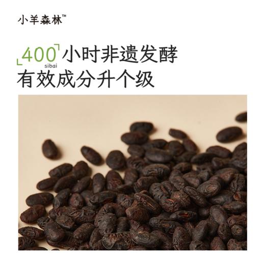 着凉急救包（感通通+葱豉汤） 商品图6