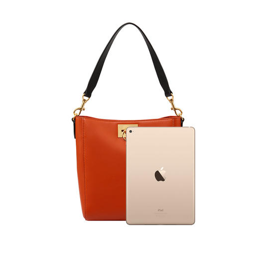 818301650129 迪桑娜DISSONA 迪桑娜新款真皮手提单肩包女大容量时尚托特包子母包 （宽约27cm 高约25cm） 商品图5