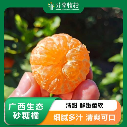 广西生态砂糖橘  | 基地直发*Ecological Sugar Orange 商品图0