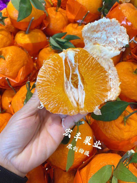 宏丰精选，甘平柑橘，柑橘界的“甜蜜女王”。活动价12.8元一斤 商品图2