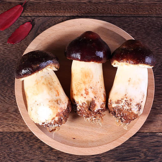 云南特产新鲜菌菇组合拼盘无毒（黑皮鸡枞+金耳+姬松茸+鹿茸菇+虫草花+黑牛肝+小香蕈等组合）火锅食材包 商品图4