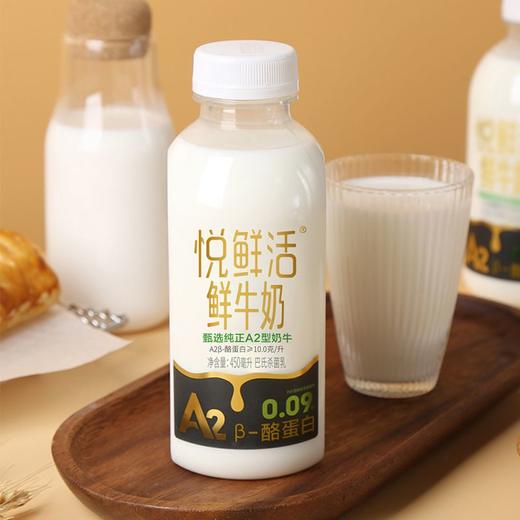 君乐宝悦鲜活 A2鲜牛奶 450ml/瓶 商品图1