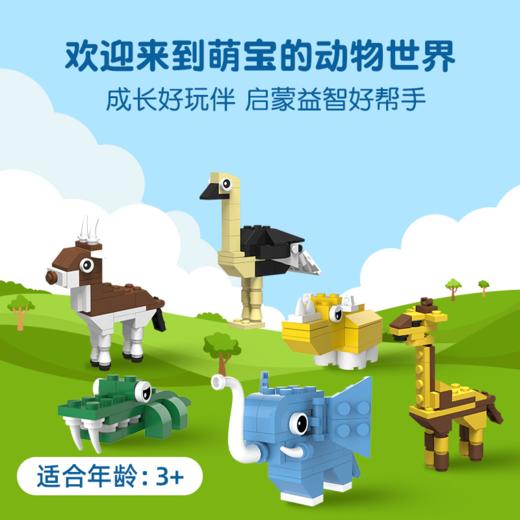 【趣味造型，动物科普】4岁+ 动物科普 玩中学 动物知识科普社交 商品图3
