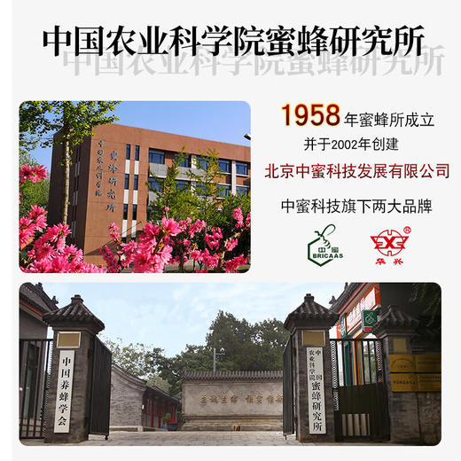 中国农科院蜂蜜大礼包 商品图2