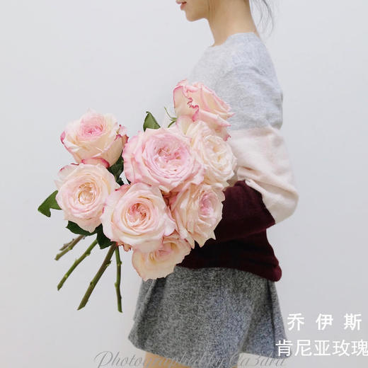 肯尼亚进口玫瑰花JOYCE乔伊斯12支 商品图2